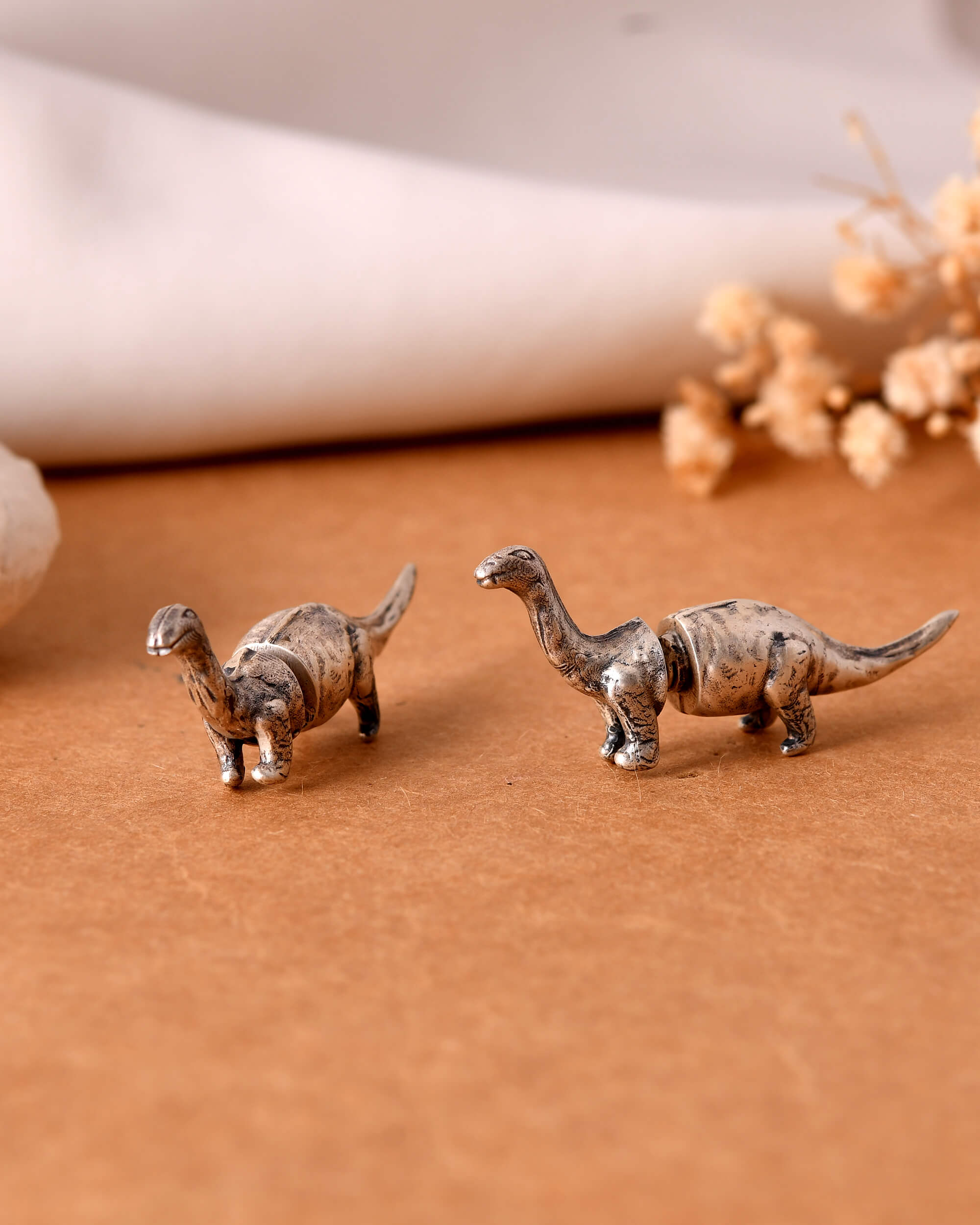 Daina Silver earrings studs