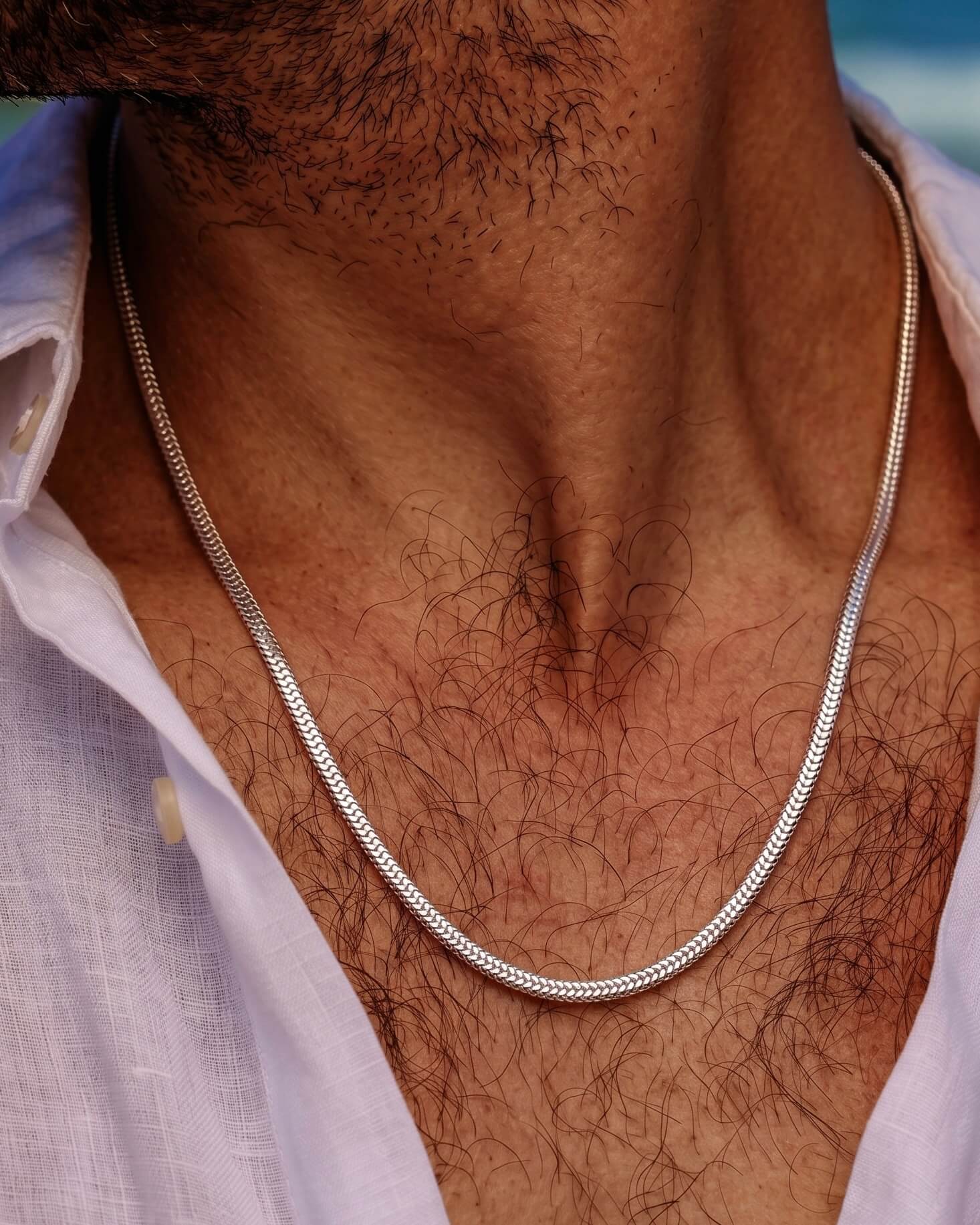 Silver Foxtail Snake Chain - Image 2